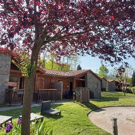 Aparthotel Le Hameau du Comté de Foix à Mercus-Garrabet Extérieur photo