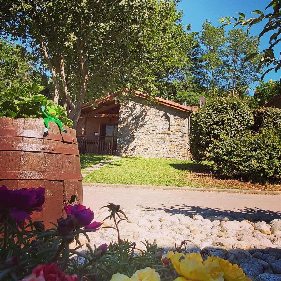 Aparthotel Le Hameau du Comté de Foix à Mercus-Garrabet Extérieur photo