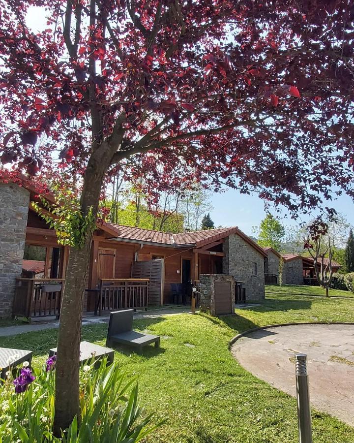 Aparthotel Le Hameau du Comté de Foix à Mercus-Garrabet Extérieur photo